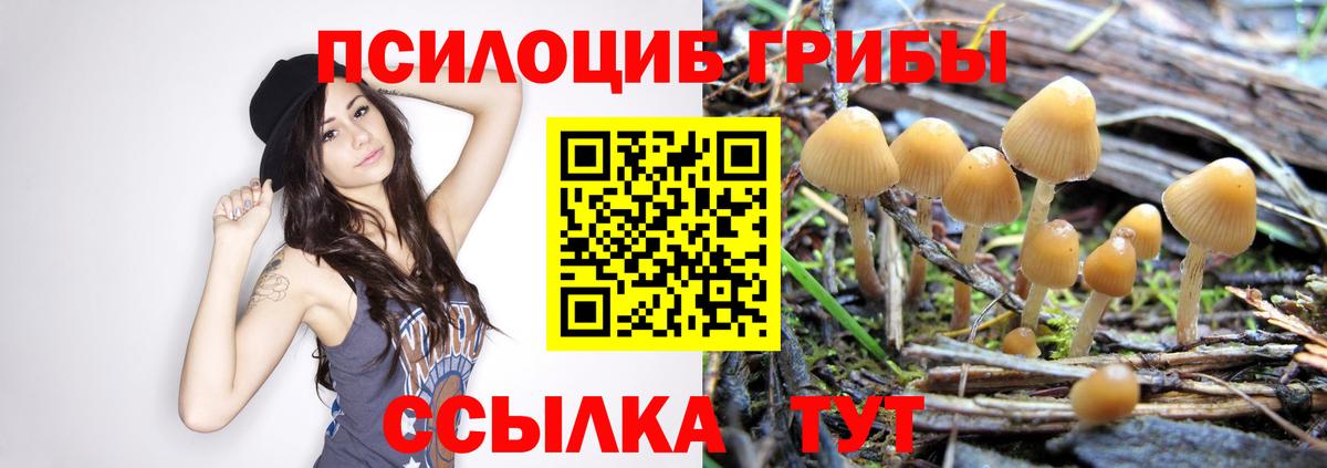 Ялуторовск  Галлюциногенные грибы MAGIC MUSHROOMS  Галлюциногенные грибы Cubensis  Вход с VPN 
