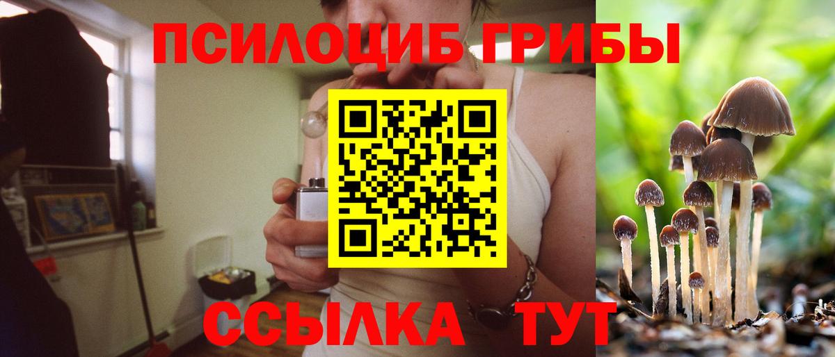 Галлюциногенные грибы MAGIC MUSHROOMS Ялуторовск